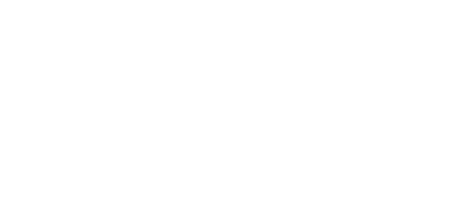 Samsun Çarşı Logo